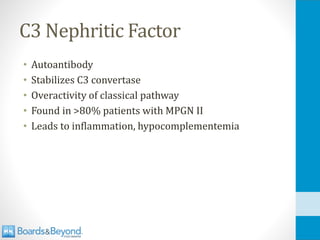 C3 Nephritic Factor
• Autoantibody
• Stabilizes C3 convertase
• Overactivity of classical pathway
• Found in >80% patients with MPGN II
• Leads to inflammation, hypocomplementemia
 