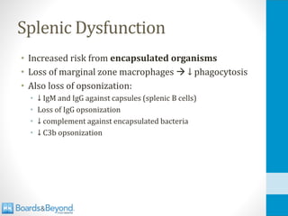 Splenic Dysfunction
• Increased risk from encapsulated organisms
• Loss of marginal zone macrophages → ↓ phagocytosis
• Also loss of opsonization:
• ↓ IgM and IgG against capsules (splenic B cells)
• Loss of IgG opsonization
• ↓ complement against encapsulated bacteria
• ↓ C3b opsonization
 