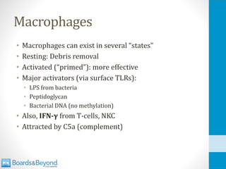 Macrophages
• Macrophages can exist in several “states”
• Resting: Debris removal
• Activated (“primed”): more effective
• Major activators (via surface TLRs):
• LPS from bacteria
• Peptidoglycan
• Bacterial DNA (no methylation)
• Also, IFN-γ from T-cells, NKC
• Attracted by C5a (complement)
 
