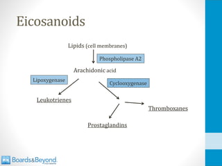 Eicosanoids
Lipids (cell membranes)
Arachidonic acid
Leukotrienes
Lipoxygenase
Thromboxanes
Prostaglandins
Cyclooxygenase
Phospholipase A2
 