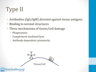 Type II
• Antibodies (IgG/IgM) directed against tissue antigens
• Binding to normal structures
• Three mechanisms of tissue/cell damage
• Phagocytosis
• Complement-mediated lysis
• Antibody-dependent cytotoxicity
Tissue/Cell
 