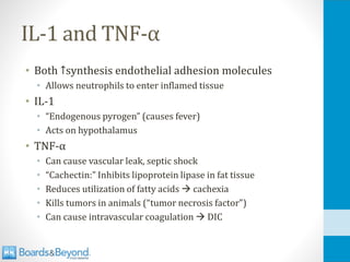 IL-1 and TNF-α
• Both ↑synthesis endothelial adhesion molecules
• Allows neutrophils to enter inflamed tissue
• IL-1
• “Endogenous pyrogen” (causes fever)
• Acts on hypothalamus
• TNF-α
• Can cause vascular leak, septic shock
• “Cachectin:” Inhibits lipoprotein lipase in fat tissue
• Reduces utilization of fatty acids → cachexia
• Kills tumors in animals (“tumor necrosis factor”)
• Can cause intravascular coagulation → DIC
 