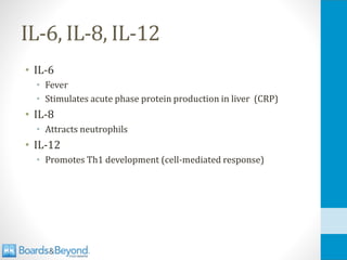 IL-6, IL-8, IL-12
• IL-6
• Fever
• Stimulates acute phase protein production in liver (CRP)
• IL-8
• Attracts neutrophils
• IL-12
• Promotes Th1 development (cell-mediated response)
 
