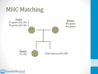 MHC Matching
Mother
M1 genes
M2 genes
Father
F1 genes (A2, B4…)
F2 genes (A1, B3…)
Patient
F1, M2 25% chance of F1/M2
 