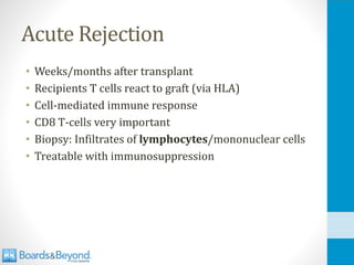 Acute Rejection
• Weeks/months after transplant
• Recipients T cells react to graft (via HLA)
• Cell-mediated immune response
• CD8 T-cells very important
• Biopsy: Infiltrates of lymphocytes/mononuclear cells
• Treatable with immunosuppression
 
