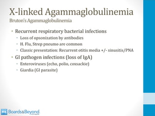 X-linked Agammaglobulinemia
Bruton’sAgammaglobulinemia
• Recurrent respiratory bacterial infections
• Loss of opsonization by antibodies
• H. Flu, Strep pneumo are common
• Classic presentation: Recurrent otitis media +/- sinusitis/PNA
• GI pathogen infections (loss of IgA)
• Enteroviruses (echo, polio, coxsackie)
• Giardia (GI parasite)
 