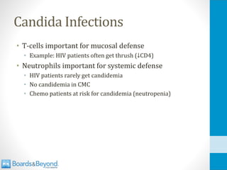 Candida Infections
• T-cells important for mucosal defense
• Example: HIV patients often get thrush (↓CD4)
• Neutrophils important for systemic defense
• HIV patients rarely get candidemia
• No candidemia in CMC
• Chemo patients at risk for candidemia (neutropenia)
 