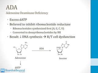 ADA
AdenosineDeaminaseDeficiency
• Excess dATP
• Believed to inhibit ribonucleotide reductase
• Ribonucleotides synthesized first (A, G, C, U)
• Converted to deoxyribonucleotides by RR
• Result: ↓ DNA synthesis → B/T cell dysfunction
Adenosine Inosine
ADA
dATP
 