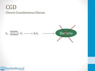 CGD
ChronicGranulomatousDisease
H2O2 Bacteria
O2
·
NADPH
Oxidase
O2
 