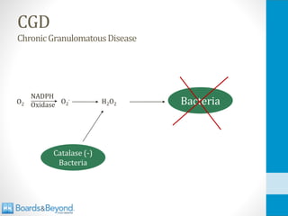 CGD
ChronicGranulomatousDisease
H2O2 Bacteria
Catalase (-)
Bacteria
O2
·
NADPH
Oxidase
O2
 