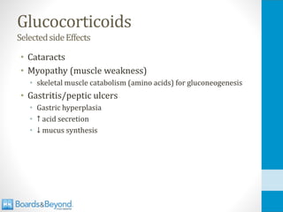 Glucocorticoids
SelectedsideEffects
• Cataracts
• Myopathy (muscle weakness)
• skeletal muscle catabolism (amino acids) for gluconeogenesis
• Gastritis/peptic ulcers
• Gastric hyperplasia
• ↑ acid secretion
• ↓ mucus synthesis
 