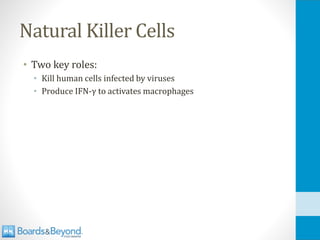 Natural Killer Cells
• Two key roles:
• Kill human cells infected by viruses
• Produce IFN-γ to activates macrophages
 
