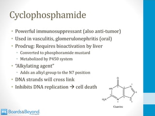 Cyclophosphamide
• Powerful immunosuppressant (also anti-tumor)
• Used in vasculitis, glomerulonephritis (oral)
• Prodrug: Requires bioactivation by liver
• Converted to phosphoramide mustard
• Metabolized by P450 system
• “Alkylating agent”
• Adds an alkyl group to the N7 position
• DNA strands will cross link
• Inhibits DNA replication → cell death
 