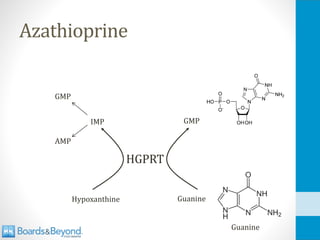 Azathioprine
IMP
Hypoxanthine Guanine
GMP
HGPRT
GMP
AMP
Guanine
 