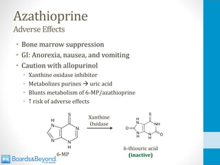 Azathioprine
Adverse Effects
• Bone marrow suppression
• GI: Anorexia, nausea, and vomiting
• Caution with allopurinol
• Xanthine oxidase inhibitor
• Metabolizes purines → uric acid
• Blunts metabolism of 6-MP/azathioprine
• ↑ risk of adverse effects
6-MP
Xanthine
Oxidase
6-thiouric acid
(inactive)
 