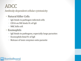 ADCC
Antibody-dependentcellularcytotoxicity
• Natural Killer Cells
• IgG binds to pathogen-infected cells
• CD16 on NK binds Fc of IgG
• NKC kills cell
• Eosinophils
• IgE binds to pathogens, especially large parasites
• Eosinophils bind Fc of IgE
• Release of toxic enzymes onto parasite
 