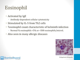 Eosinophil
• Activated by IgE
• Antibody-dependent cellular cytotoxicity
• Stimulated by IL-5 from Th2 cells
• ↑eosinophil count characteristic of helminth infection
• Normal % eosinophils <5% or <500 eosinophils/microL
• Also seen in many allergic diseases
Bobjgalindo/Wikipedia
 