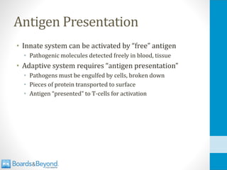 Antigen Presentation
• Innate system can be activated by “free” antigen
• Pathogenic molecules detected freely in blood, tissue
• Adaptive system requires “antigen presentation”
• Pathogens must be engulfed by cells, broken down
• Pieces of protein transported to surface
• Antigen “presented” to T-cells for activation
 