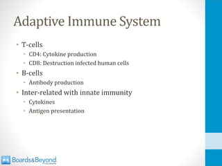 Adaptive Immune System
• T-cells
• CD4: Cytokine production
• CD8: Destruction infected human cells
• B-cells
• Antibody production
• Inter-related with innate immunity
• Cytokines
• Antigen presentation
 