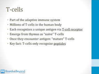 T-cells
• Part of the adaptive immune system
• Millions of T-cells in the human body
• Each recognizes a unique antigen via T-cell receptor
• Emerge from thymus as “naïve” T-cells
• Once they encounter antigen: “mature” T-cells
• Key fact: T-cells only recognize peptides
 