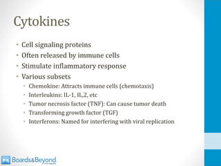 Cytokines
• Cell signaling proteins
• Often released by immune cells
• Stimulate inflammatory response
• Various subsets
• Chemokine: Attracts immune cells (chemotaxis)
• Interleukins: IL-1, IL,2, etc
• Tumor necrosis factor (TNF): Can cause tumor death
• Transforming growth factor (TGF)
• Interferons: Named for interfering with viral replication
 