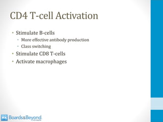 CD4 T-cell Activation
• Stimulate B-cells
• More effective antibody production
• Class switching
• Stimulate CD8 T-cells
• Activate macrophages
 