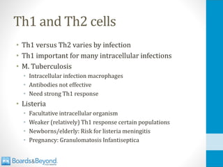 Th1 and Th2 cells
• Th1 versus Th2 varies by infection
• Th1 important for many intracellular infections
• M. Tuberculosis
• Intracellular infection macrophages
• Antibodies not effective
• Need strong Th1 response
• Listeria
• Facultative intracellular organism
• Weaker (relatively) Th1 response certain populations
• Newborns/elderly: Risk for listeria meningitis
• Pregnancy: Granulomatosis Infantiseptica
 
