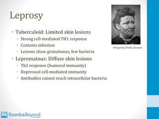 Leprosy
• Tuberculoid: Limited skin lesions
• Strong cell-mediated TH1 response
• Contains infection
• Lesions show granulomas, few bacteria
• Lepromatous: Diffuse skin lesions
• Th2 response (humoral immunity)
• Depressed cell-mediated immunity
• Antibodies cannot reach intracellular bacteria
Wikipedia/Public Domain
 