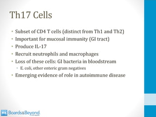 Th17 Cells
• Subset of CD4 T cells (distinct from Th1 and Th2)
• Important for mucosal immunity (GI tract)
• Produce IL-17
• Recruit neutrophils and macrophages
• Loss of these cells: GI bacteria in bloodstream
• E. coli, other enteric gram negatives
• Emerging evidence of role in autoimmune disease
 