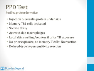 PPD Test
Purifiedproteinderivative
• Injection tuberculin protein under skin
• Memory Th1 cells activated
• Secrete IFN-γ
• Activate skin macrophages
• Local skin swelling/redness if prior TB exposure
• No prior exposure, no memory T cells: No reaction
• Delayed-type hypersensitivity reaction
 