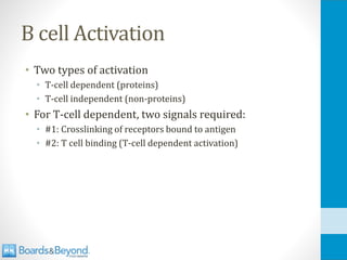 B cell Activation
• Two types of activation
• T-cell dependent (proteins)
• T-cell independent (non-proteins)
• For T-cell dependent, two signals required:
• #1: Crosslinking of receptors bound to antigen
• #2: T cell binding (T-cell dependent activation)
 