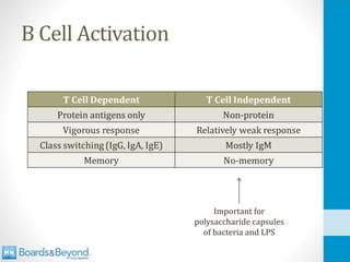 B Cell Activation
Important for
polysaccharide capsules
of bacteria and LPS
 