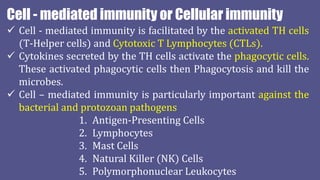 Cell - mediated immunity or Cellular immunity
 Cell - mediated immunity is facilitated by the activated TH cells
(T-Helper cells) and Cytotoxic T Lymphocytes (CTLs).
 Cytokines secreted by the TH cells activate the phagocytic cells.
These activated phagocytic cells then Phagocytosis and kill the
microbes.
 Cell – mediated immunity is particularly important against the
bacterial and protozoan pathogens
1. Antigen-Presenting Cells
2. Lymphocytes
3. Mast Cells
4. Natural Killer (NK) Cells
5. Polymorphonuclear Leukocytes
 