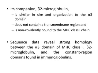 Immunology MHC.pptx