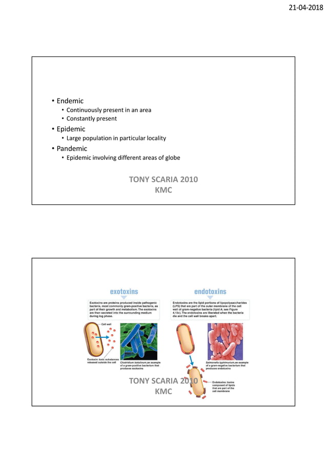 IMMUNOLOGY (PATHOLOGY +MICROBIOLOGY) REVISION NOTES | PDF | Infectious ...