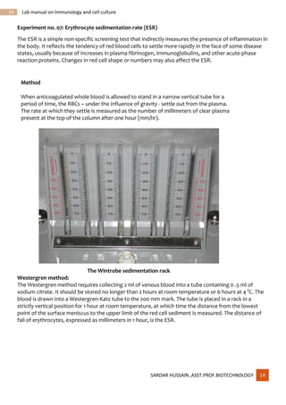 Immunology and cell culture techniques | PDF