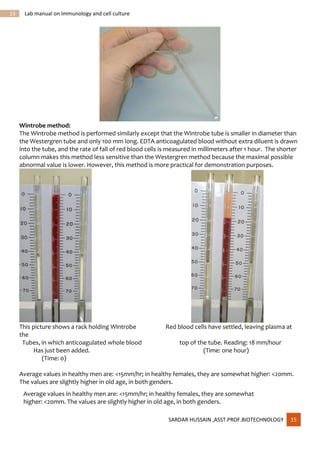 Immunology and cell culture techniques | PDF