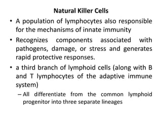 Natural Killer Cells
• A population of lymphocytes also responsible
for the mechanisms of innate immunity
• Recognizes components associated with
pathogens, damage, or stress and generates
rapid protective responses.
• a third branch of lymphoid cells (along with B
and T lymphocytes of the adaptive immune
system)
– All differentiate from the common lymphoid
progenitor into three separate lineages
 