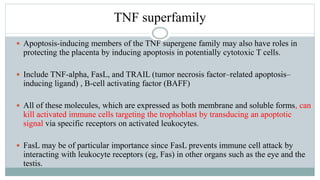 immunology of pregnancy final.pptx