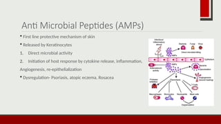 Immunology and Anatomy of Skin by dermatology Post graduate .pptx