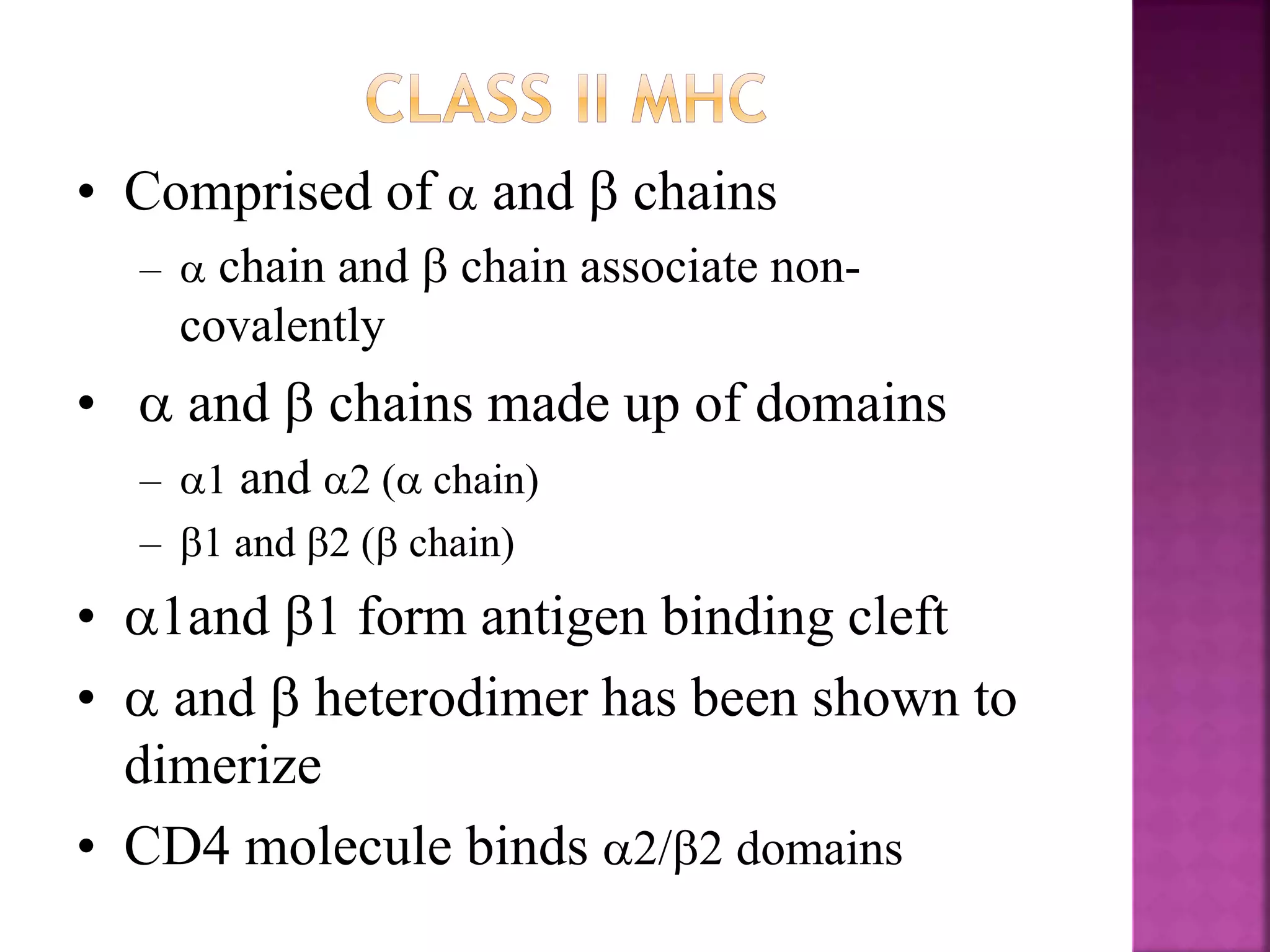 • Comprised of  and  chains
–  chain and  chain associate non-
covalently
•  and  chains made up of domains
– 1 and 2 ( chain)
– 1 and 2 ( chain)
• 1and 1 form antigen binding cleft
•  and  heterodimer has been shown to
dimerize
• CD4 molecule binds 2/2 domains
 