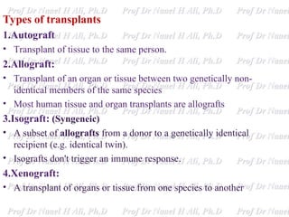 Isograft Examples Immunology of transplantation .pp Immunology of transplantationst | PPT