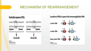 MECHANISM OF REARRANGEMENT
 