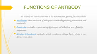 FUNCTIONS OF ANTIBODY
An antibody has several diverse roles in the immune system, primary functions include:
 Neutalization: Direct inactivation of pathogen or toxin thereby preventing its interaction with
human cells.
 Opsonization: Antibodies promote coating of pathogens and make them more efficient for
phagocytosis.
 Activation of Complement: Antibodies activate complement pathway, thereby helping in more
efficient phagocytosis .
 