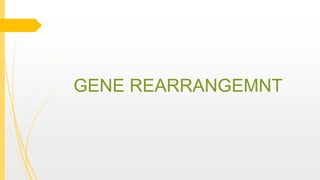 GENE REARRANGEMNT
 