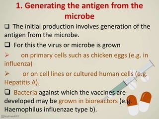 1. Generating the antigen from the
microbe
 The initial production involves generation of the
antigen from the microbe.
 For this the virus or microbe is grown
 on primary cells such as chicken eggs (e.g. in
influenza)
 or on cell lines or cultured human cells (e.g.
Hepatitis A).
 Bacteria against which the vaccines are
developed may be grown in bioreactors (e.g.
Haemophilus influenzae type b).
 