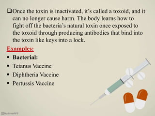 Once the toxin is inactivated, it’s called a toxoid, and it
can no longer cause harm. The body learns how to
fight off the bacteria’s natural toxin once exposed to
the toxoid through producing antibodies that bind into
the toxin like keys into a lock.
Examples:
 Bacterial:
 Tetanus Vaccine
 Diphtheria Vaccine
 Pertussis Vaccine
 