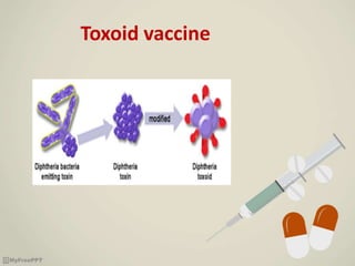 Toxoid vaccine
 