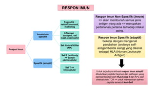 RESPON IMUN
Respon Imun
Innate/non
spesifik
Fagositik :
netrofil,monosit,
makrofag
Inflamasi :
basophil, sel
mast, eosinophil
Sel Natural Killer
(NK)
Spesifik (adaptif)
Sel B (antibody
=> cairan
ekstraseluler
Sel T =>
Intraseluler
Respon imun Non-Spesifik (Innate)
=> akan membunuh semua jenis
antigen yang ada => merupakan
pertahanan pertama terhadap infeksi
asing.
Respon imun Spesifik (adaptif)
bekerja dengan mengenali
perubahan (andanya self-
antigen/benda asing) yang dikenal
sebagai HLA (Human Leukocyte
Antigen)
Untuk terjadinya aktivasi respon imun adaptif
dibutuhkan peptide fragmen dari pathogen yang
dipresentasikan oleh HLA kelas II dari APC dan
dikenali oleh TCR => untuk memastikan bahwa
peptide tersebut Non-Self
 