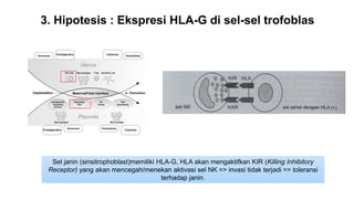3. Hipotesis : Ekspresi HLA-G di sel-sel trofoblas
Sel janin (sinsitrophoblast)memiliki HLA-G, HLA akan mengaktifkan KIR (Killing Inhibitory
Receptor) yang akan mencegah/menekan aktivasi sel NK => invasi tidak terjadi => toleransi
terhadap janin.
 